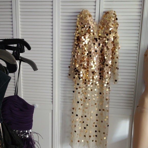 unbranded Dresses & Skirts - Sexy sheer metallic gown